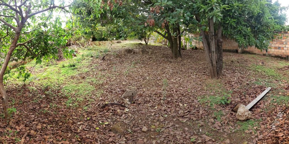 SGCAM_20241101_0947330050.PANO_